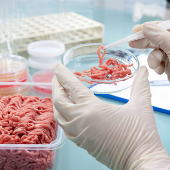 Cultivo de Alimentos